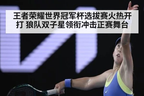 王者荣耀世界冠军杯选拔赛火热开打 狼队双子星领衔冲击正赛舞台